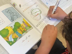 Year 1_5845818079383239667